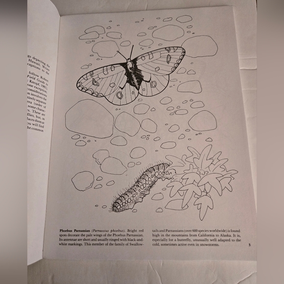 Bundle/3 Butterfly Adult Coloring Books - Picture 10 of 16